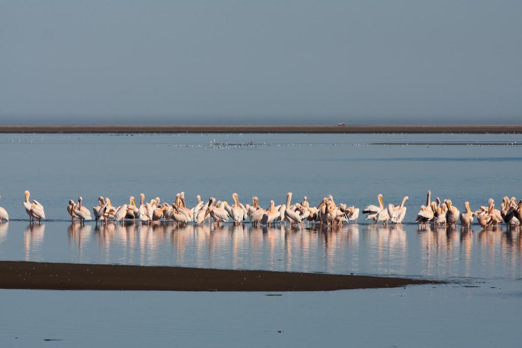 Lagoon Lodge Уолфиш Бей Екстериор снимка
